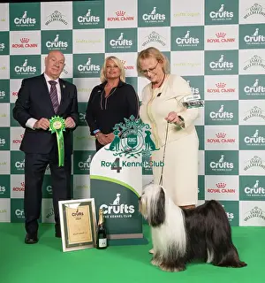 D-C-D-0-1-9-0 Crufts 2024 NEC Birmingham Utility