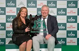 French Bulldog Prints: D-C-D-0-1-9-0 Crufts 2024 NEC Birmingham Utility