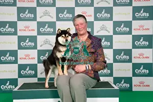 Japanese Shiba Inu Prints: D-C-D-0-1-9-0 Crufts 2024 NEC Birmingham Utility