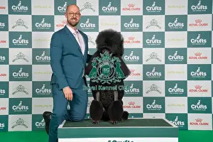 Jason Lynn Prints: D-C-D-0-1-9-0 Crufts 2024 NEC Birmingham Utility
