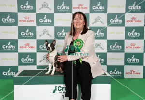 D-C-D-0-1-9-0 Crufts 2024 NEC Birmingham Utility