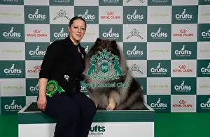 Keeshond Prints: D-C-D-0-1-9-0 Crufts 2024 NEC Birmingham Utility