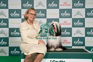 Tibetan Terrier Prints: D-C-D-0-1-9-0 Crufts 2024 NEC Birmingham Utility