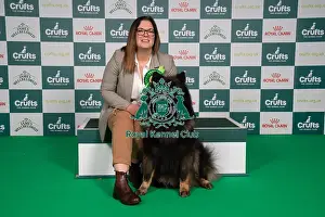 Eurasier Prints: D-C-D-0-1-9-0 Crufts 2024 NEC Birmingham Utility