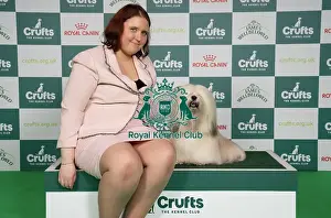 Lhasa Apso Prints: D-C-D-0-1-9-0 Crufts 2024 NEC Birmingham Utility