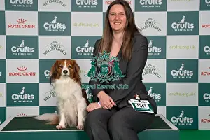 Kooikerhondje Prints: D-C-D-0-1-9-0 Crufts 2024 NEC Birmingham Utility
