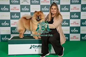 Chow Chow Prints: D-C-D-0-1-9-0 Crufts 2024 NEC Birmingham Utility