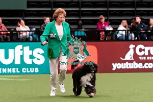 Portuguese Water Dog Prints: D-C-D-0-1-9-0 Crufts 2024 NEC Birmingham Working