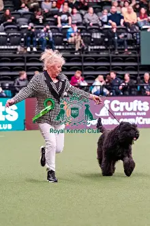Bouvier Des Flandres Prints: D-C-D-0-1-9-0 Crufts 2024 NEC Birmingham Working