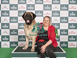 D-C-D-0-1-9-0 Crufts 2024 NEC Birmingham Working