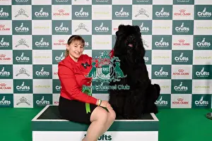 Russian Black Terrier Prints: D-C-D-0-1-9-0 Crufts 2024 NEC Birmingham Working