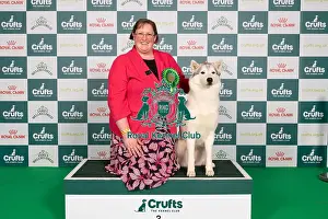 Siberian Husky Prints: D-C-D-0-1-9-0 Crufts 2024 NEC Birmingham Working
