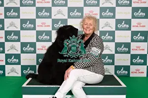 Bouvier Des Flandres Prints: D-C-D-0-1-9-0 Crufts 2024 NEC Birmingham Working