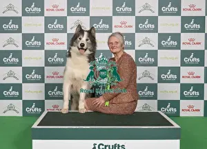 D-C-D-0-1-9-0 Crufts 2024 NEC Birmingham Working