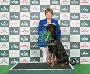 Archie Prints: D-C-D-0-1-9-0 Crufts 2024 NEC Birmingham Working