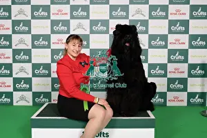 Russian Black Terrier Prints: D-C-D-0-1-9-0 Crufts 2024 NEC Birmingham Working