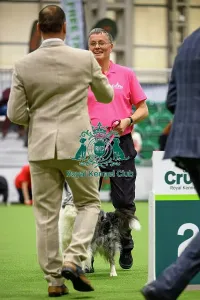 Crufts 2026 Rally Prints: David and Boo-Boo, Runners up in the Level 6 Inter-Regional Rally Competition today (05)