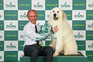 Pyrenean Mountain Dog Prints: David Edwards, from Daventry with Leo