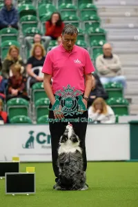 Crufts 2026 Rally Prints: David Moxton, with Boo-Boo, during the Inter-Regional Rally Team Competition