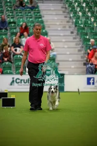 Crufts 2026 Rally Prints: David Moxton, with Boo-Boo, during the Inter-Regional Rally Team Competition