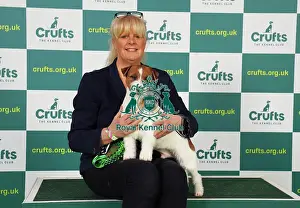 Terrier Prints: Deb Ryan from Stratfordshire with Gatsby