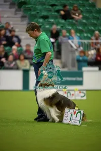 Crufts 2026 Rally Prints: Debie Martin with Ross, during the Inter-Regional Rally Team Competition
