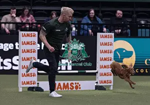 Agility Crufts Singles Final Medium Prints: Devongem Tie Gold Standard trained by James Adams