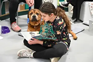 Dexter Prints: Dexter, a Cross breed wih Charlotte Kilvert