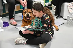 Dexter Prints: Dexter, a Cross breed wih Charlotte Kilvert