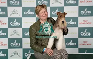 Fox Terrier Wire Prints: Dieny de Munter, from Belgium, with George
