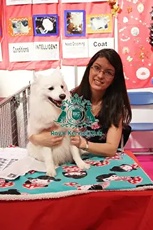 discover dog stands