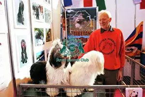 discover dog stands
