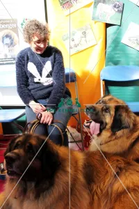 Crufts 2015