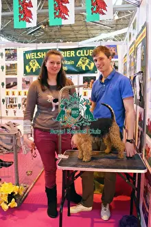 discover dog stands
