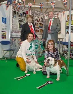 Discover Dogs Best Booth : Utility Group awarded to The Bulldog Breed