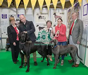 Discover Dogs Best Booth : Working Group awarded to The Great Dane Club Judges