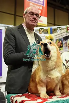 Discover Dogs Kennel Gazette