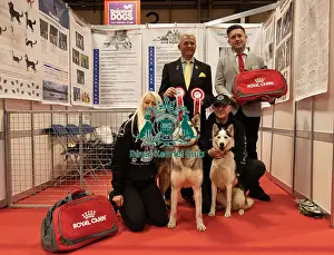 Discover Dogs overall winner stand 2025