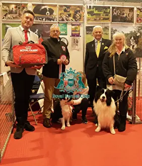 Crufts 2025 Prints: Discover Dogs Stand Winner Border Collies