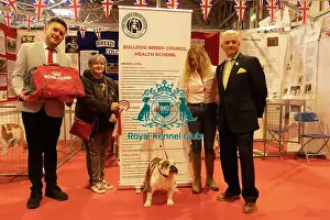 Discover Dogs stand winner, Bulldog