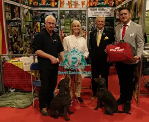 Discover Dogs Stand Winner Spanish Water Dog