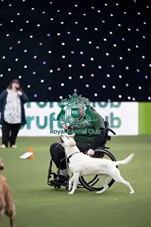 Obedience Prints: Dog Activities Display