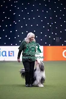 Obedience Prints: Dog Activities Display