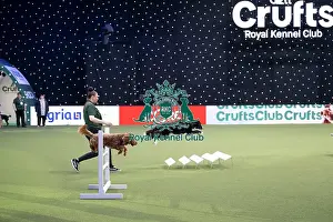 Crufts 2026 Main Arena Prints: Dog Activities Display