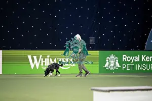 Crufts 2026 Main Arena Prints: Dog Activities Display