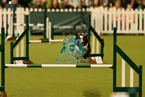 Jumping Prints: Dog Jumping over obstacle on Agility Course