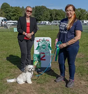 James Wellbeloved Prints: Dog Name: Lincoln Kennel Club Logo/Branding Detling Showground