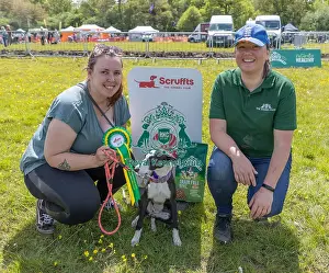 Third Place Prints: Dog Name: Lola Chelmsford Third Place James Wellbeloved