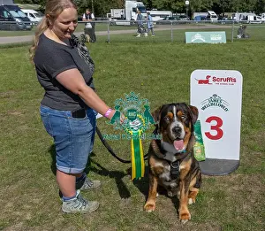 Third Place Prints: Dog Name: Togo Kennel Club Logo/Branding Owner Name: Victoria Skinner