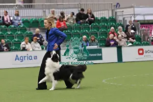 Dog Obedience Championship Competitor - Crufts 2026<br> Dog Obedience Championship Competitor - Crufts 2026
